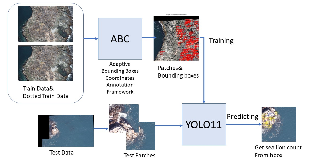Count Overview